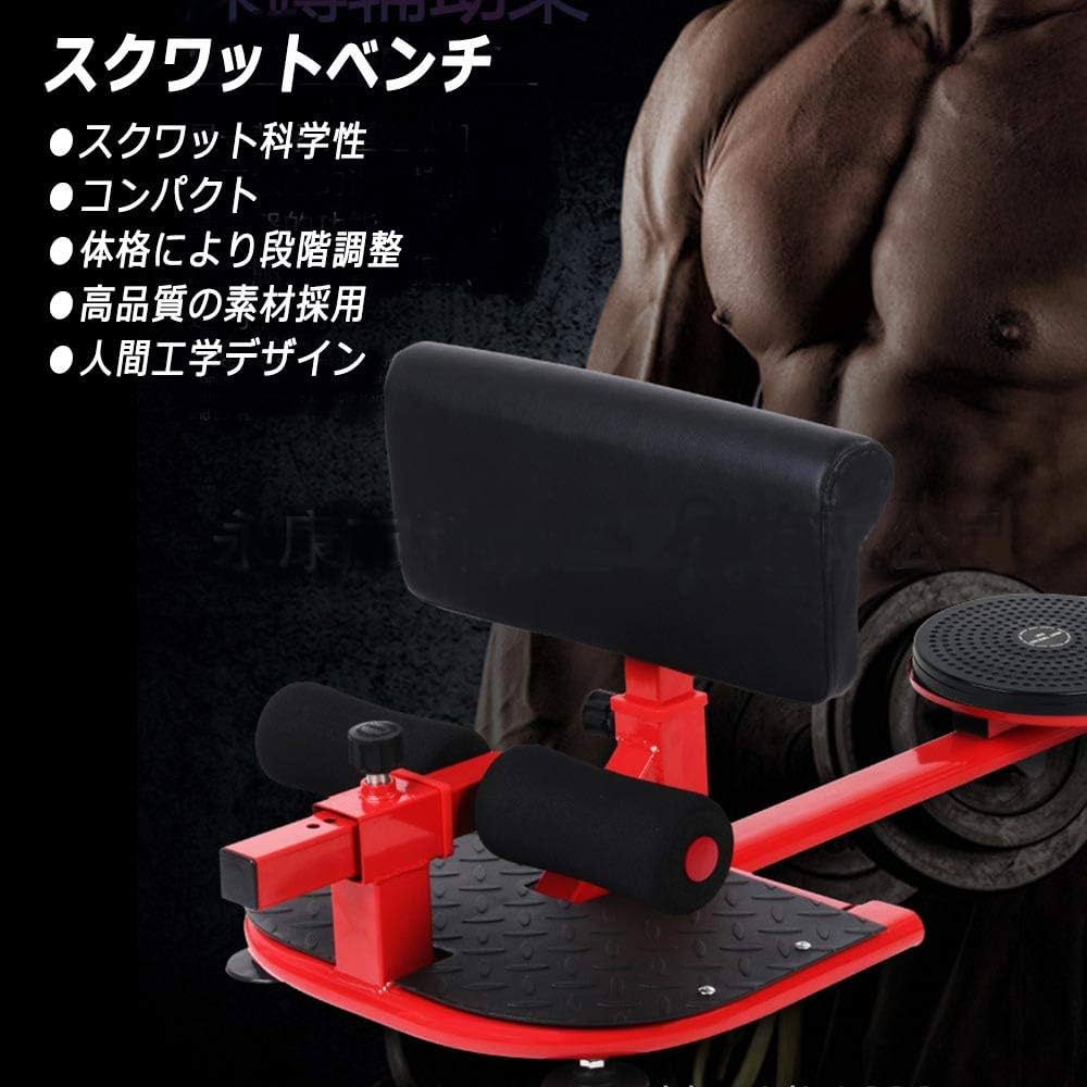人気絶頂 スクワット マジック＆360度回転ツイストボード キュキュ Amazon | Japan 人気絶頂 スクワット マジック＆360度回転